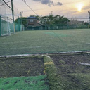 田中 星矢