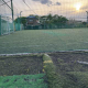 田中 星矢