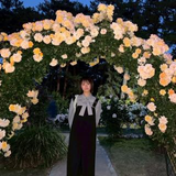 藤野 はる香