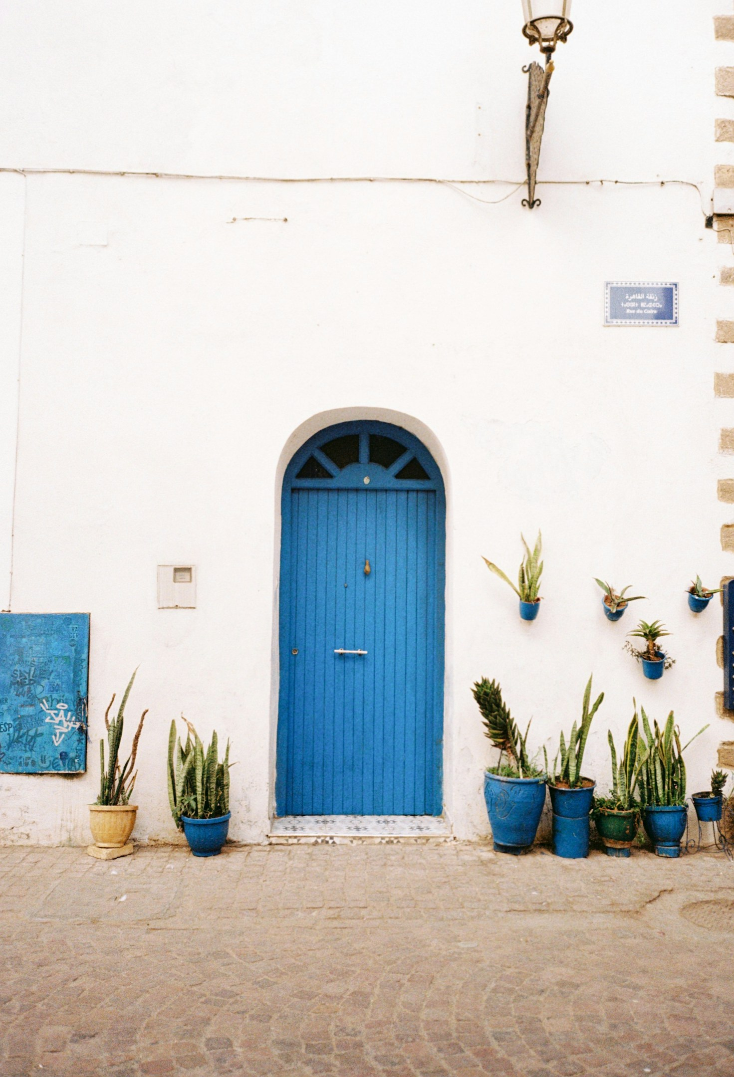 株式会社FISTRIVの成功戦略｜クラウドファンディング×物販で次世代ビジネスを切り拓く