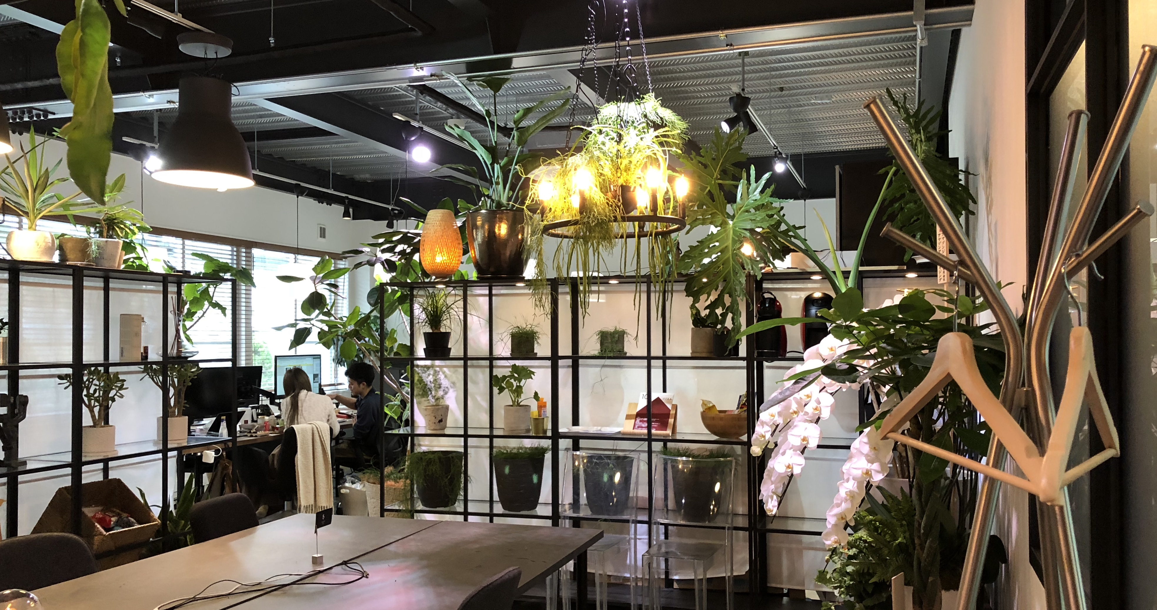 10/9 南青山に移転しました！