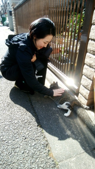 猫のスタッフ「しじみ」と