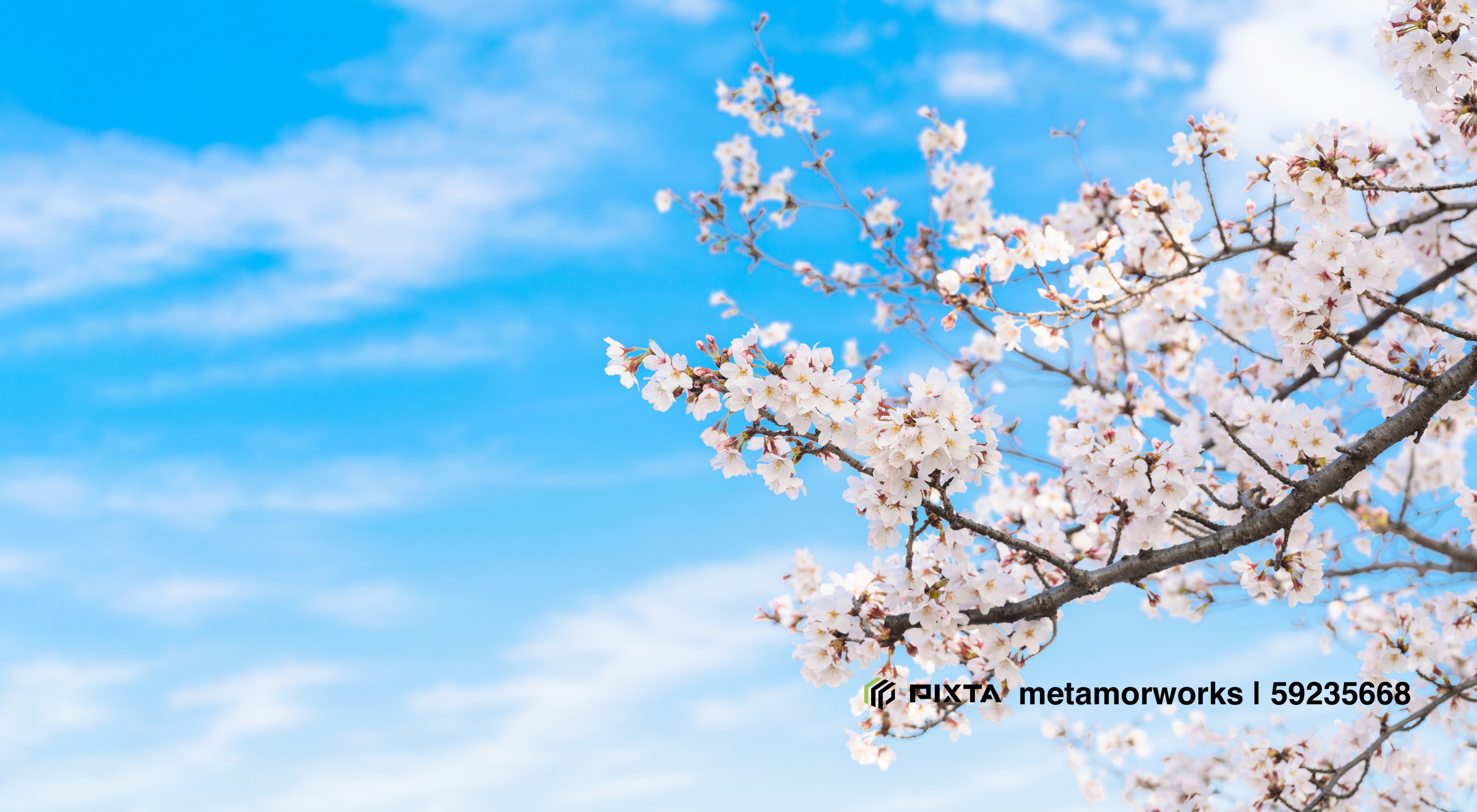 祝！　フルリモート入社第１号！