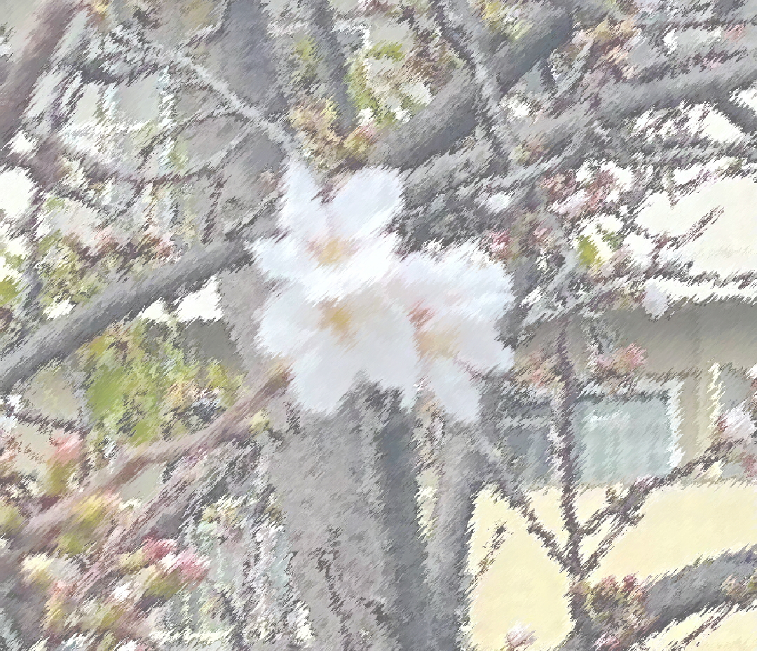 今年の春は室内スペースで！お花見レポート