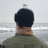 ひらの ゆうじ