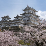 鈴木 拓