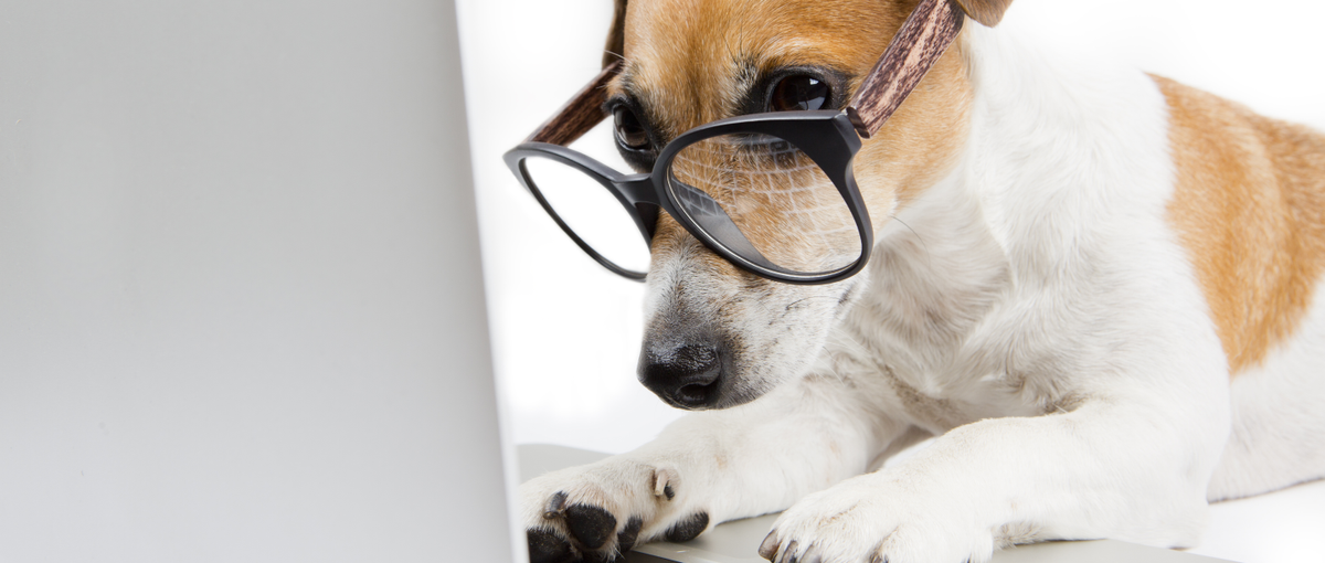 エンジニアになりたい方をWanted！KYOKYUでスキルアップ！