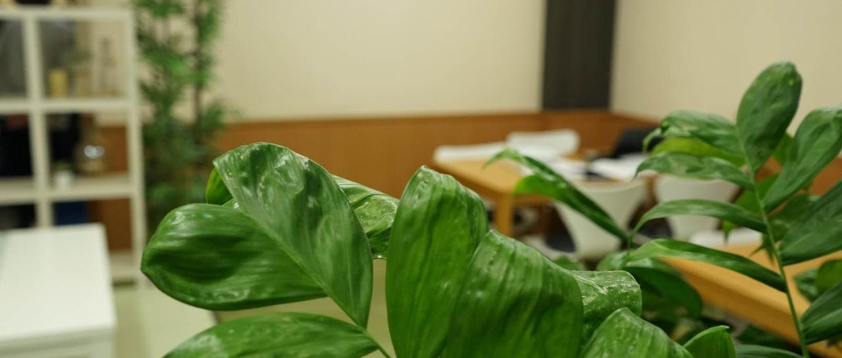 エンジニア募集！虐待問題解決に関する社内開発！