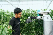 農業ロボットを活用しての収穫