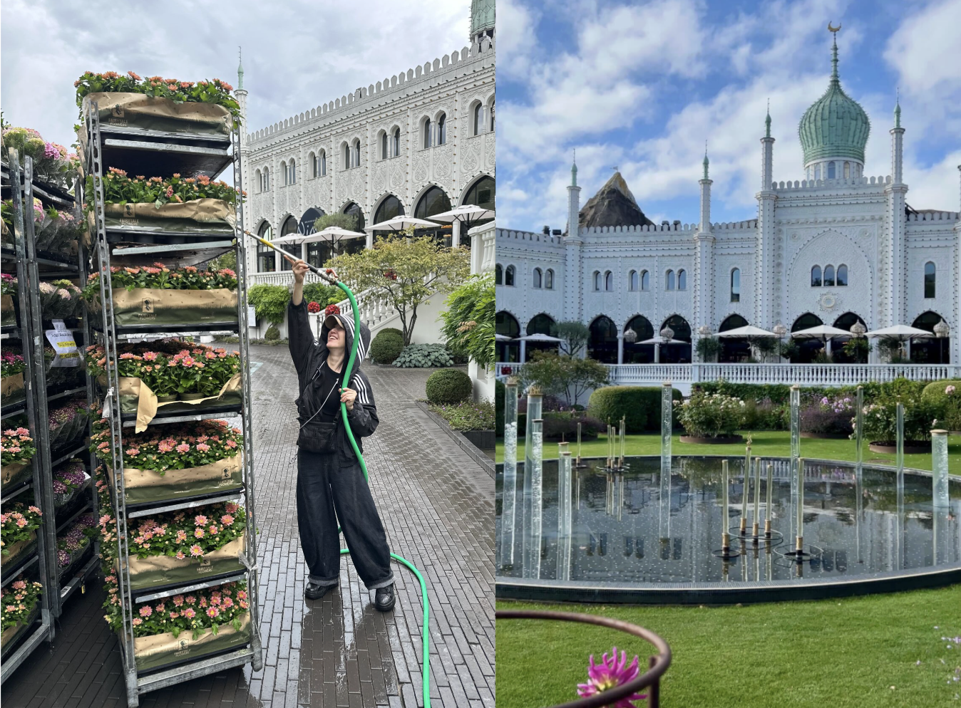 【世界に飛び出せ】デンマーク出張