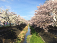 都内ですが自然が残る静かな場所で、仕事に集中できます。