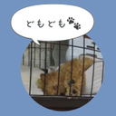 Daisuke Torii