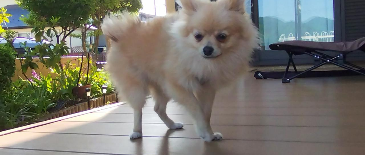 ライフワークバランスを重視！OJTで安心してエンジニア目指せる最高の環境＊