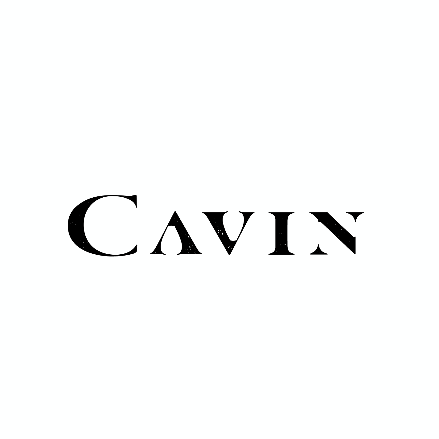 CAVIN Inc.
