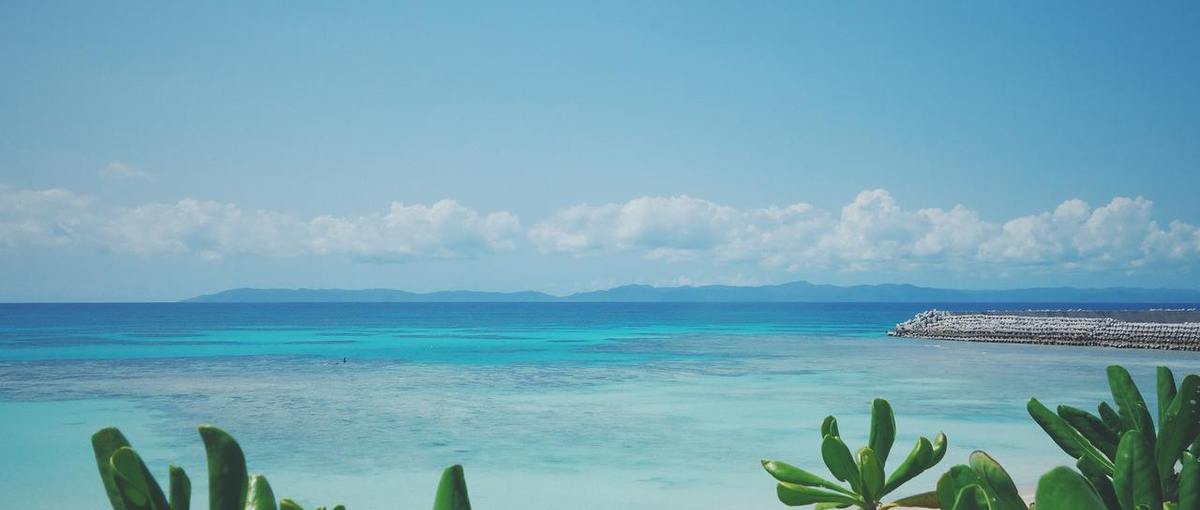 海外営業という新たな職の選択肢を。海外を諦めかけていたあなたへ捧ぐ天職。