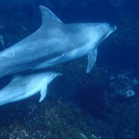北島 哲郎さんのプロフィール