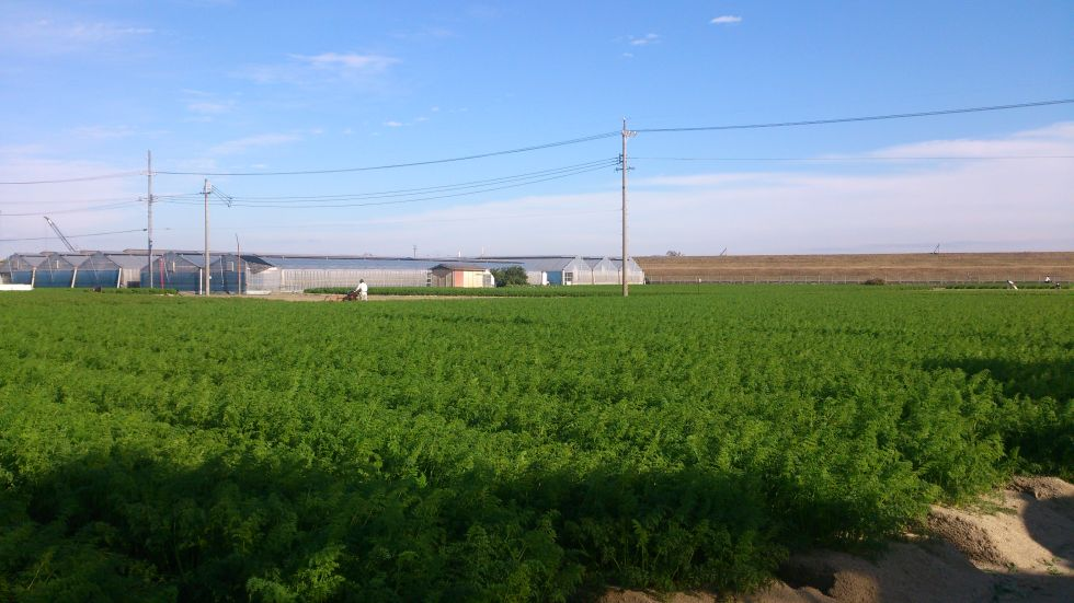 創業ストーリーを書いてみるか。