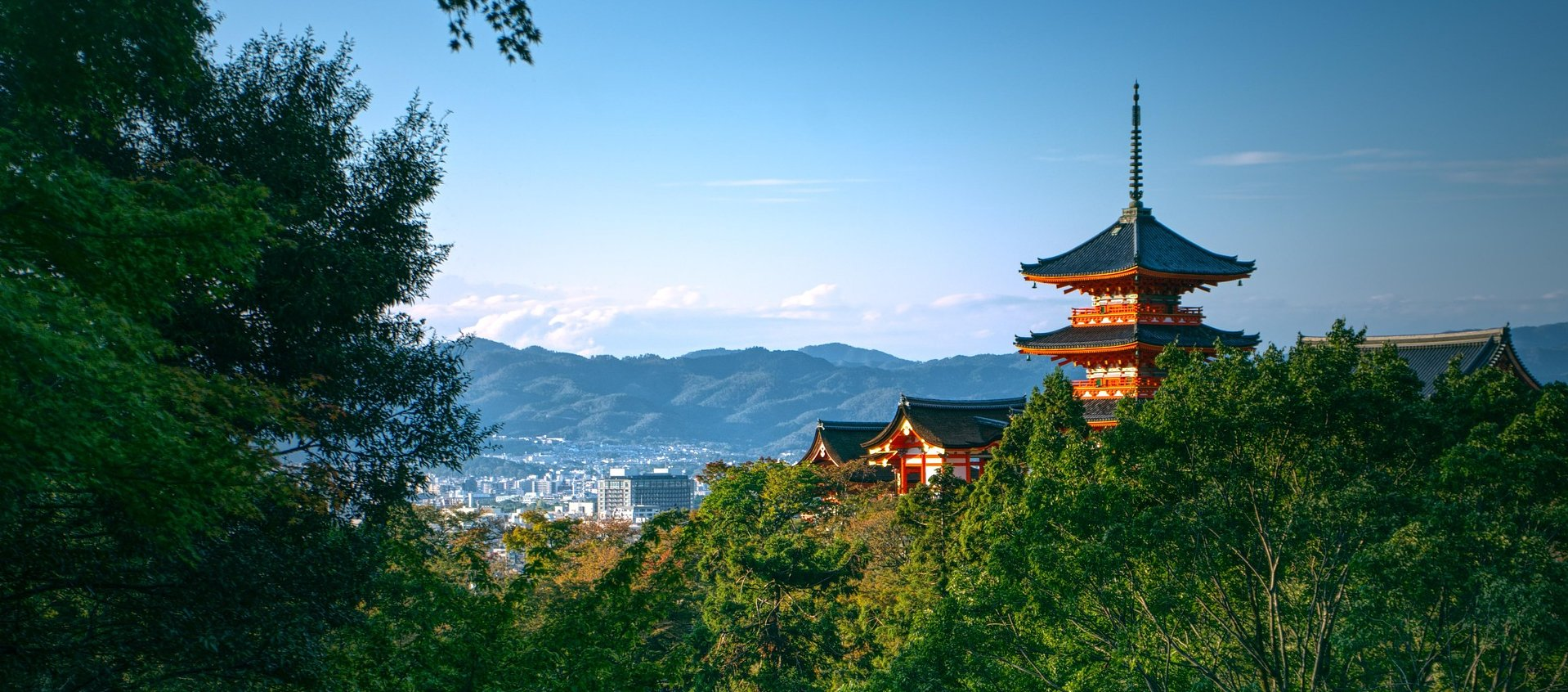 科学の限界を越える日本の力