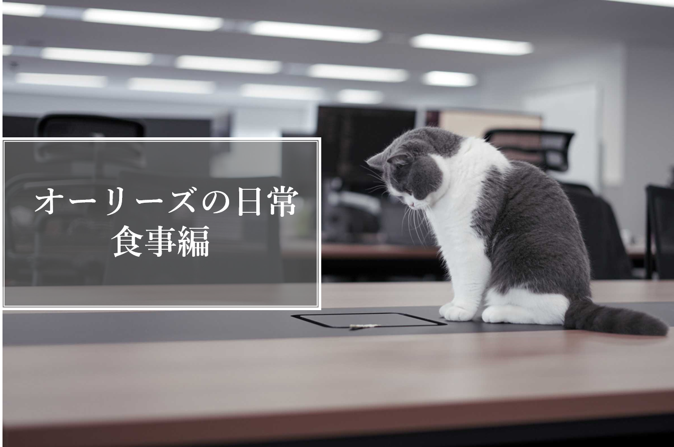 オーリーズの日常・食事編
