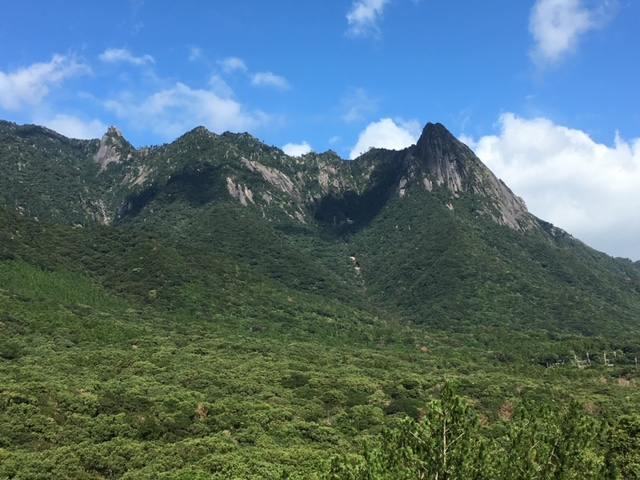 屋久島 研修