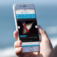 釣りの総合情報サイト「ツリホウ（釣報）」