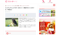 ワンちゃんに関するお役立ち情報などを掲載。今まで知らなかったワンちゃんのことを知れるかも!?