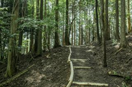 大阪・能勢妙見山の遊歩道