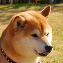 田中愛