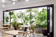 手のひらサイズの商品から、大物の観葉植物まで幅広く展開しています。