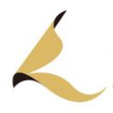 About 株式会社シーディア