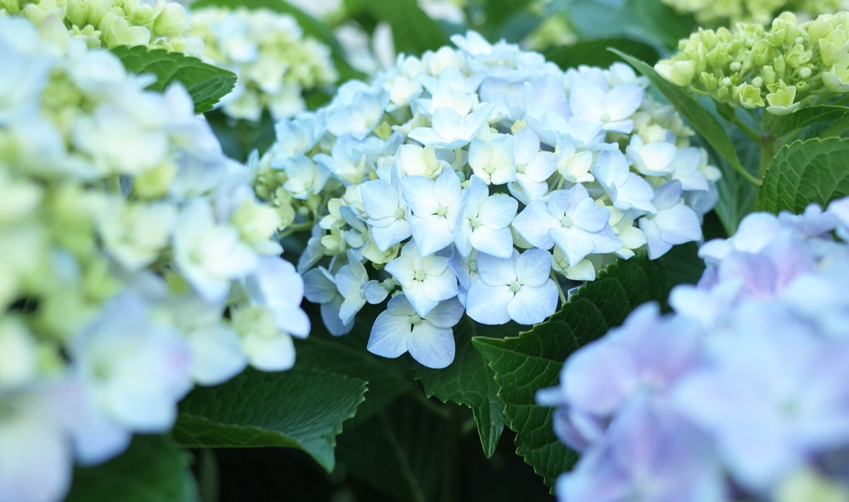 カスタマーサポートのアルバイト募集を始めました！