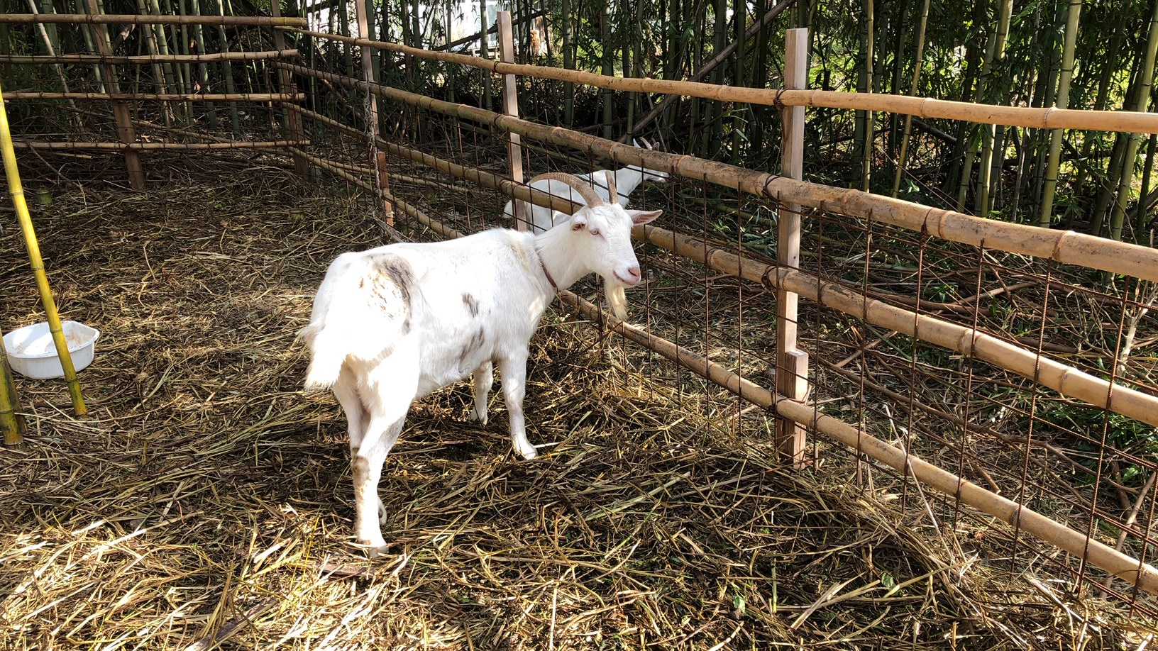 ないものは創り、あるものは活かす姿勢
