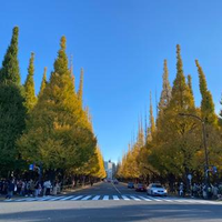 Takeyama Yukiさんのプロフィール