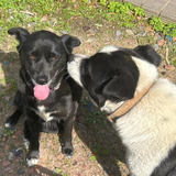 中田 逸聖