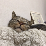 Hironaka