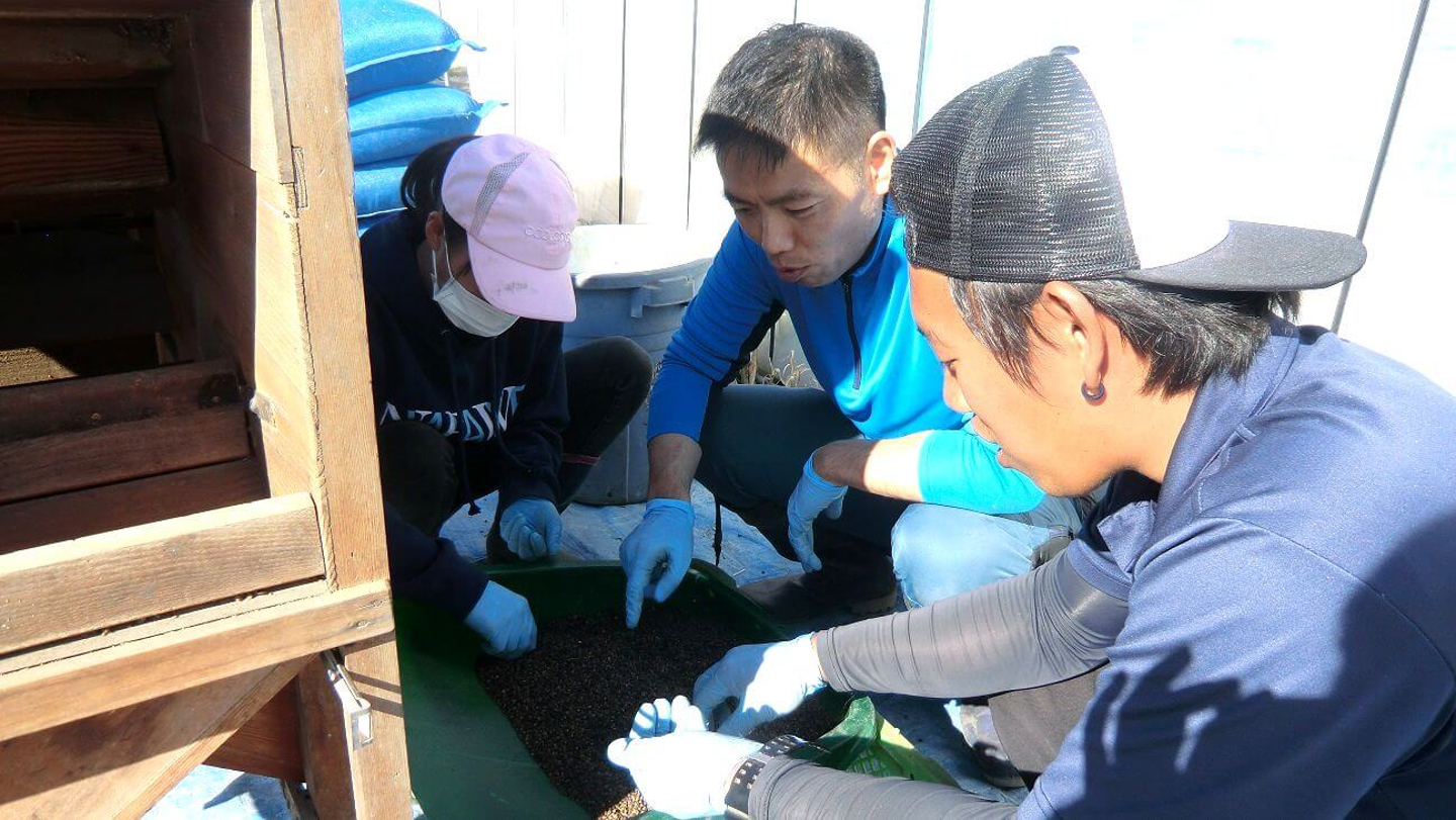 Article content