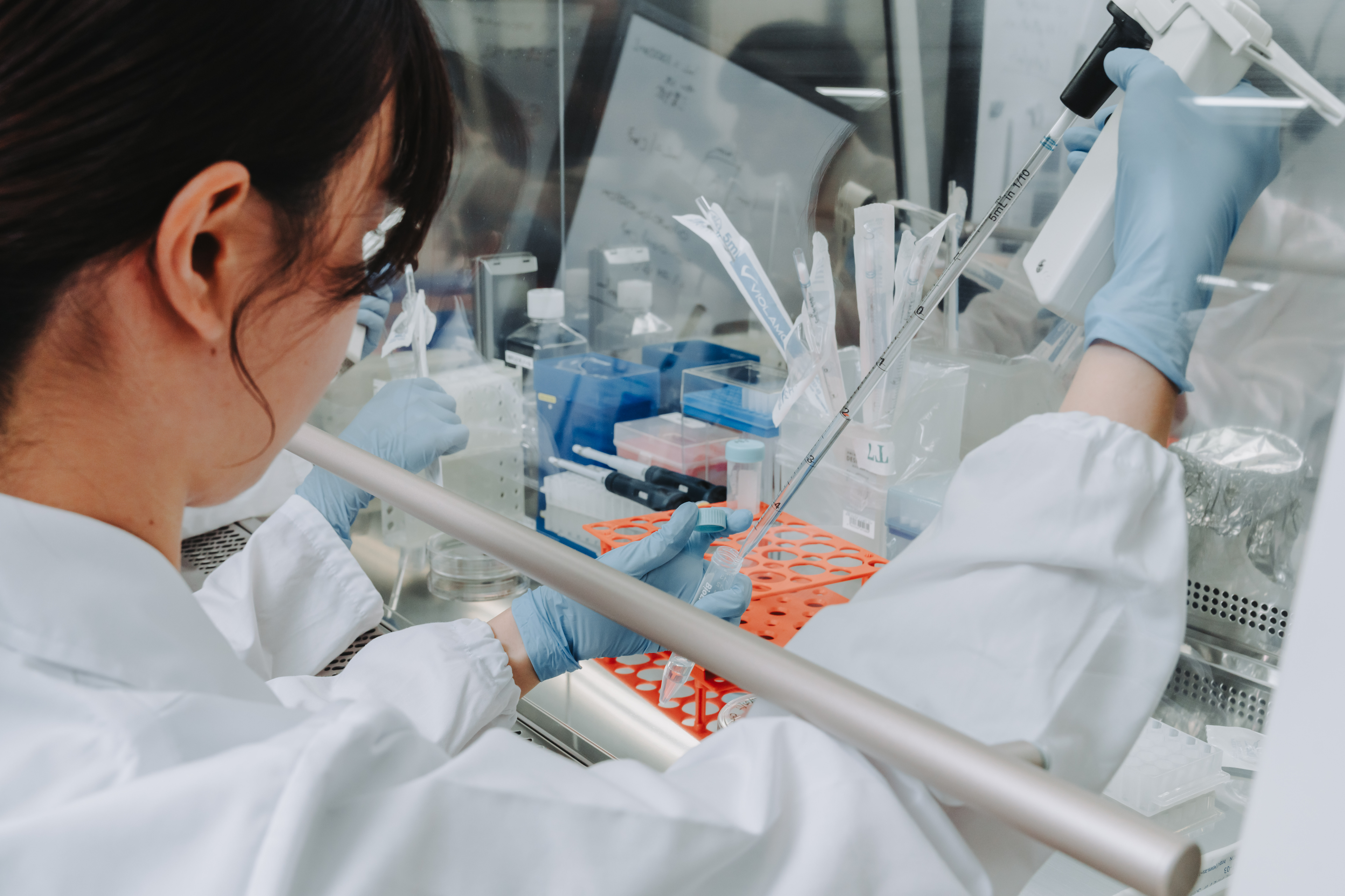 ◆お仕事紹介◆医薬・食品業界のお仕事について