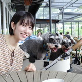 原 ひかり