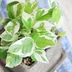 新森 清志