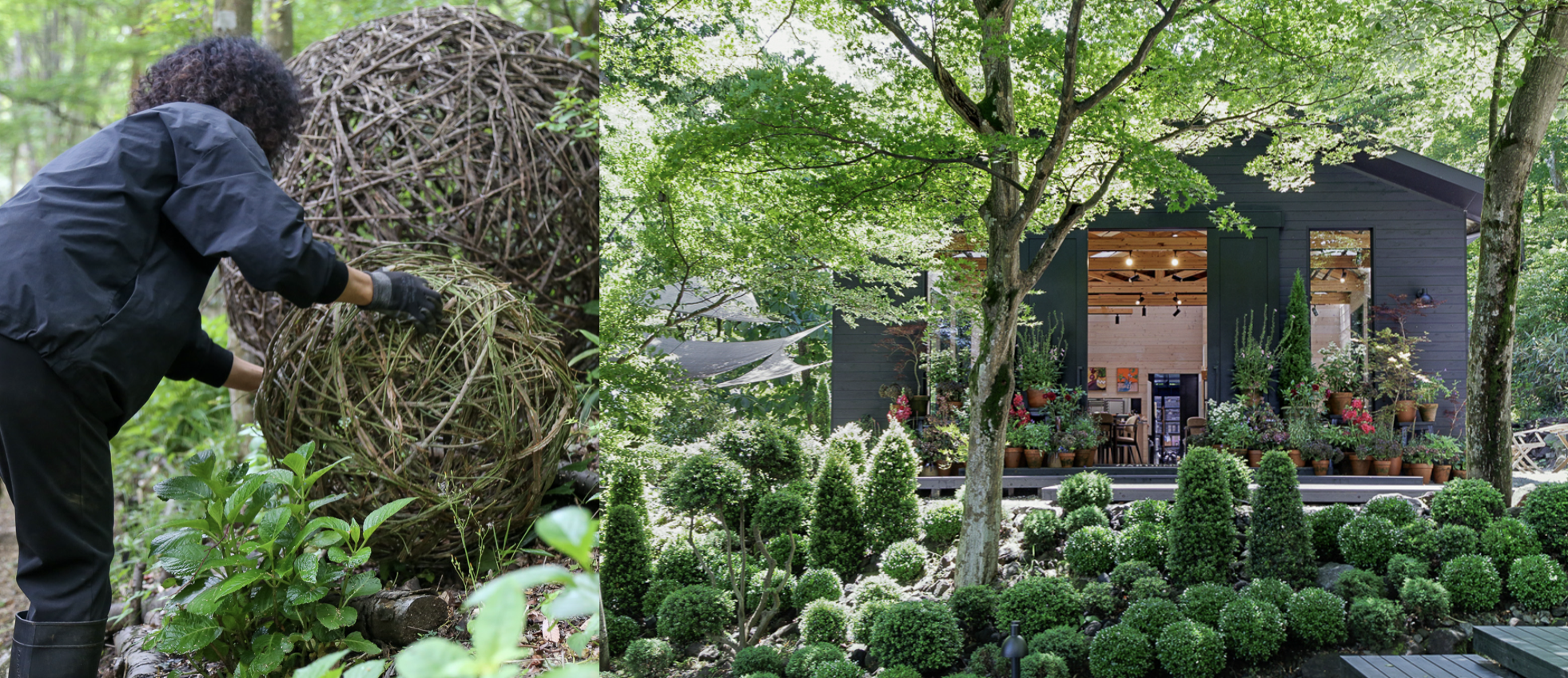 【BACK-to-BASICS】力強い自然にデザインのエッセンス