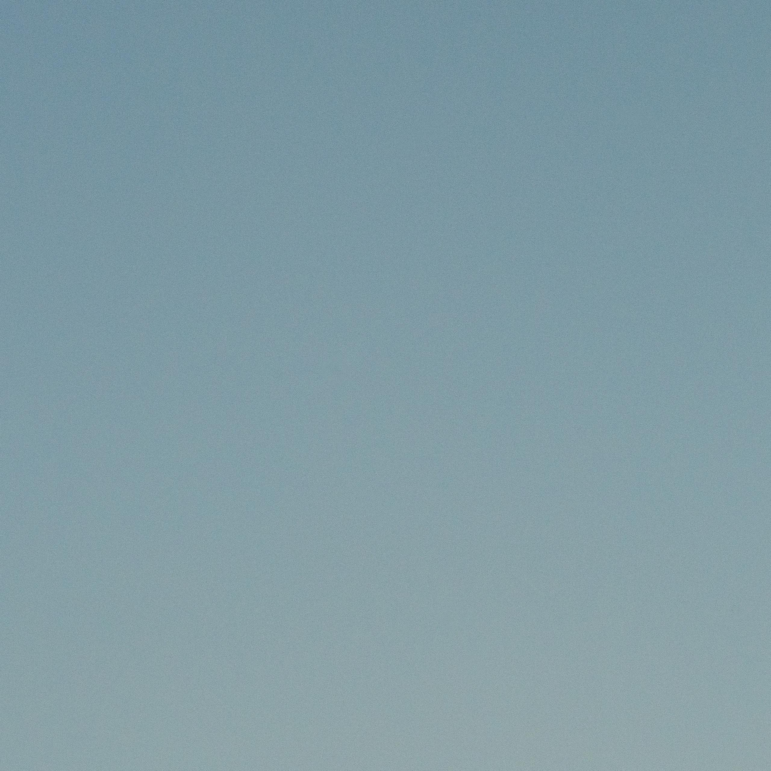 島 中