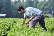 安心安全な食材をお届けするため、全ての生産者と直接契約を結び、顔の見える関係性を築いています。