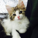 Keiko .S