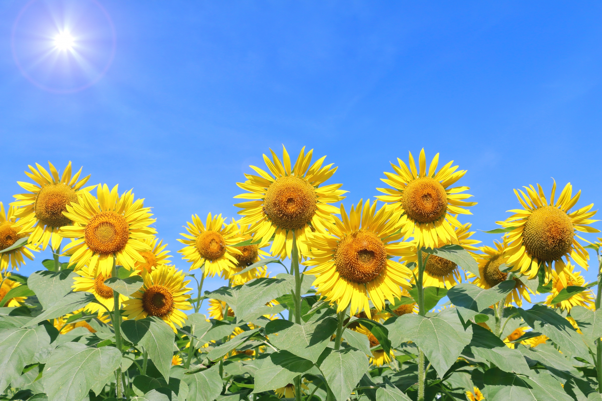 🌞テトラの夏休み🌞