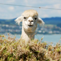 Hirokazu Fujiokaさんのプロフィール