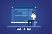 SAP ENGINEER