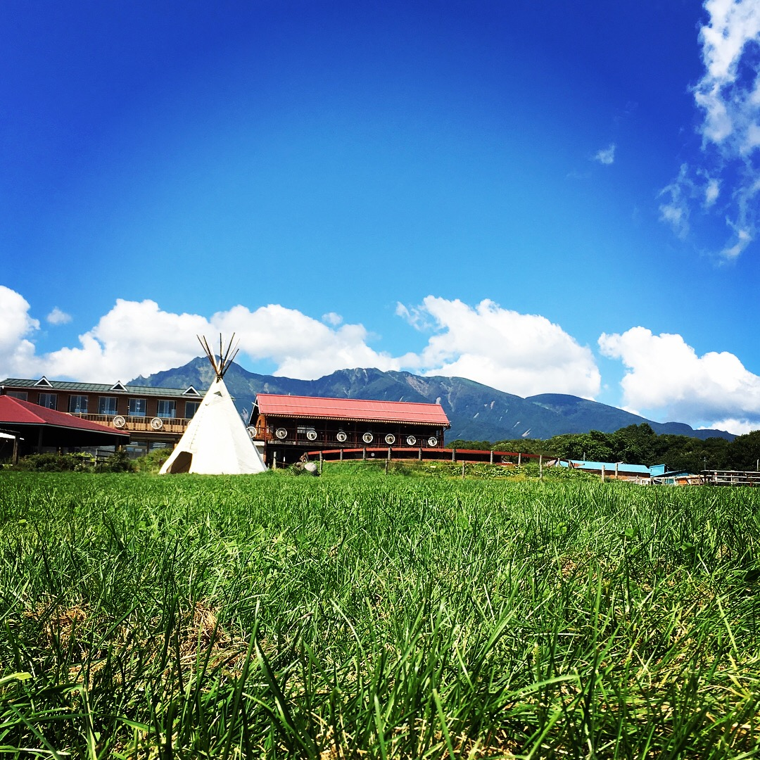 何をやってる会社か本気で分からなかったから入社してみた話。