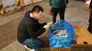 韓国にて鯵の原料を検品中世界中にある美味しいを探しに行きます！