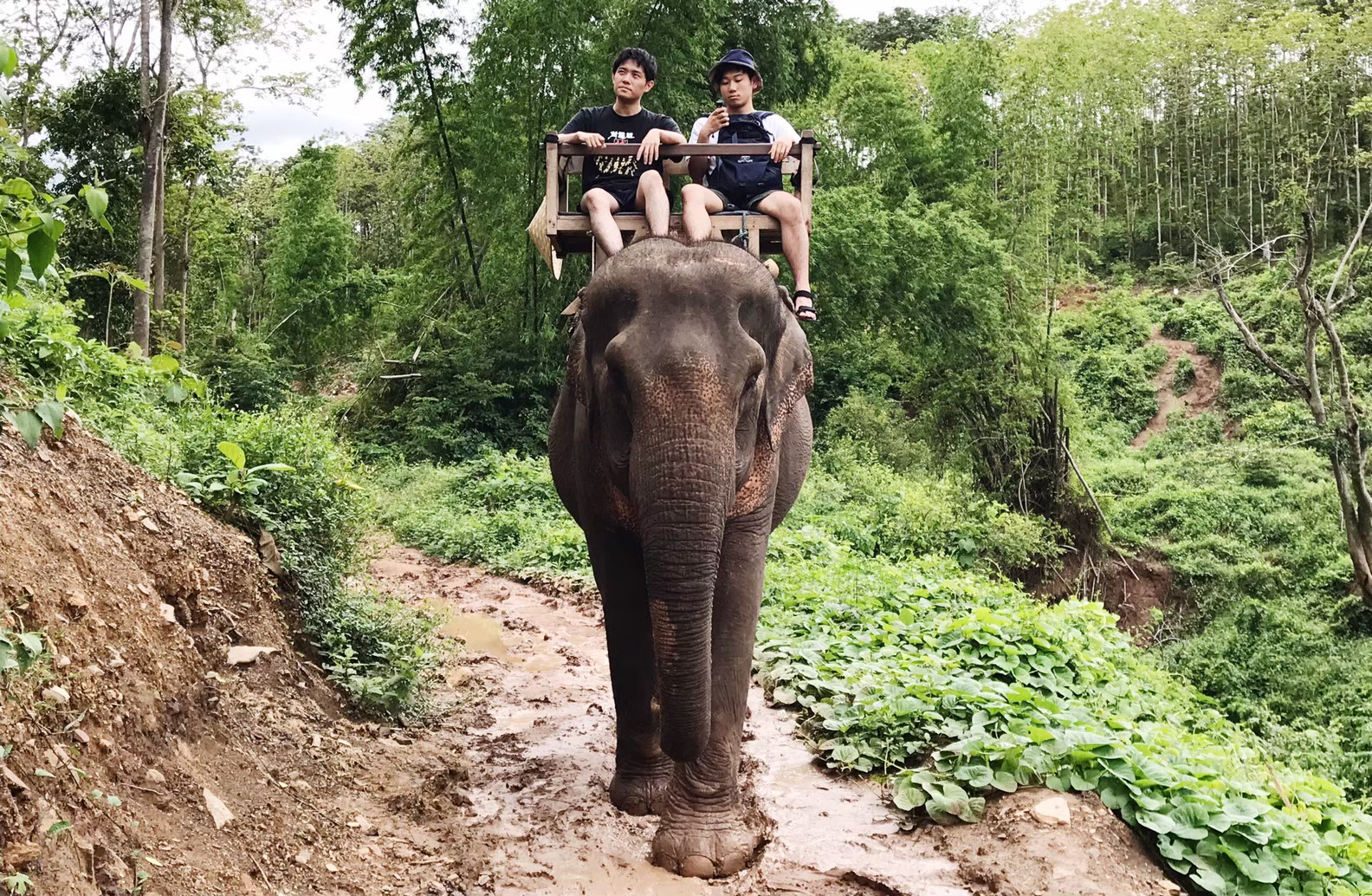 【最強への道】象使いを目指し、ムエタイ修行で燃え尽きた社員旅行