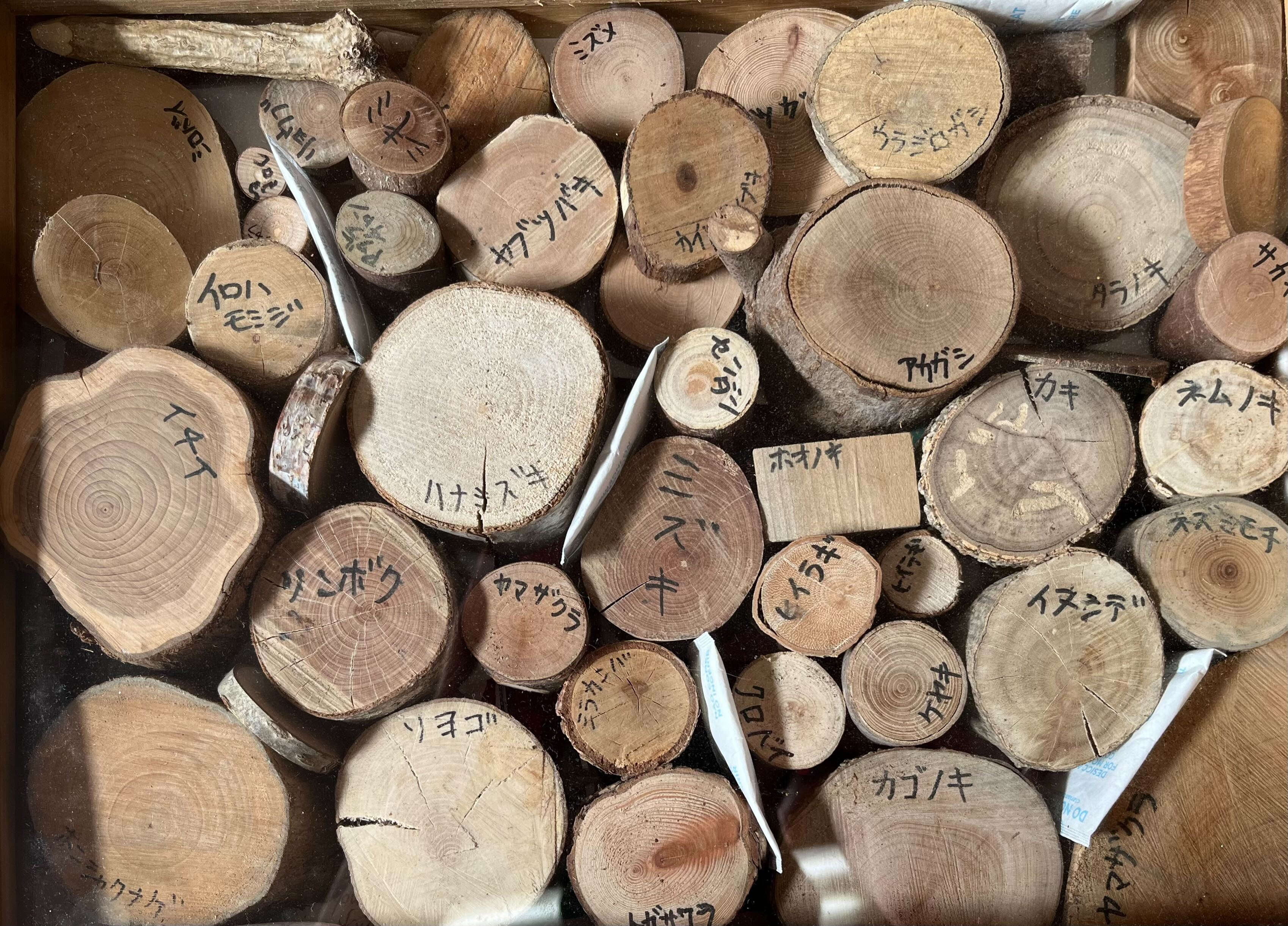 知られざる「木の世界」～武田製材見聞録～その①